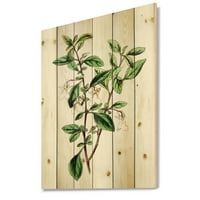 Designart' frunze verzi antice plante VII ' imprimeu tradițional pe lemn Natural de pin