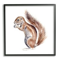Stupell Industries Baby Squirrel pictură în acuarelă animal sălbatic pentru copii, 12, Design de fo Hollow Studios