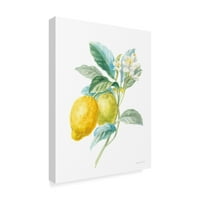 Marcă comercială Artă Plastică 'Floursack Lemon II pe alb' pânză artă de Danhui Nai