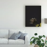 Marcă comercială Fine Art 'White Lotus Reflected' Canvas Art de Kurt Shaffer
