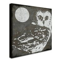 Marcă comercială Fine Art Owl 3 Canvas Art by Color Bakery